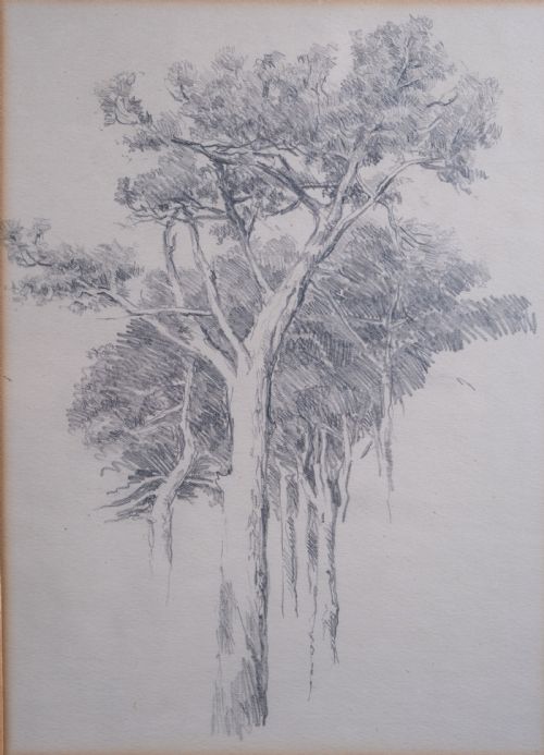 ARTHUR GEORGE WALKER RA 18611939 TREE SKETCH PENCIL ON PAPER - ADDITIONAL PHOTO 1