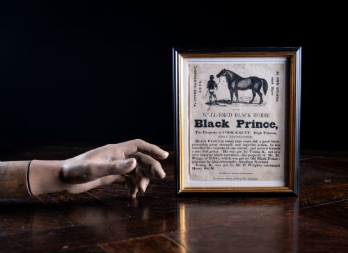 'BLACK PRINCE' HORSE ADVERTISEMENT DATED 1839 LINCOLNSHIRE - ADDITIONAL PHOTO 4
