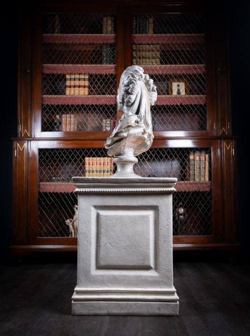 PLASTER BUST OF PRINCESS DE LAMBELLE AFTER AUGUSTIN PAJOU FRENCH 17301809 - ADDITIONAL PHOTO 10