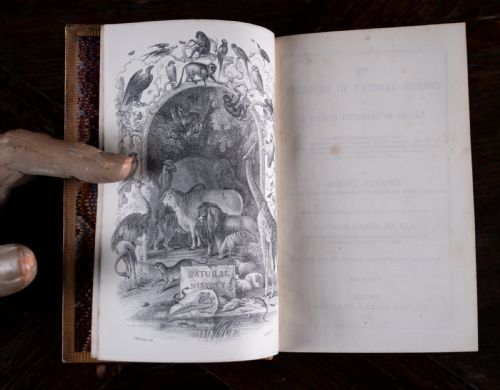 SAMUEL MAUNDER'S TREASURY OF SIX VOLUME BOOK SET 1870 - ADDITIONAL PHOTO 10