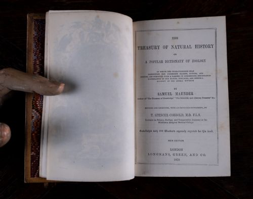 SAMUEL MAUNDER'S TREASURY OF SIX VOLUME BOOK SET 1870 - ADDITIONAL PHOTO 11