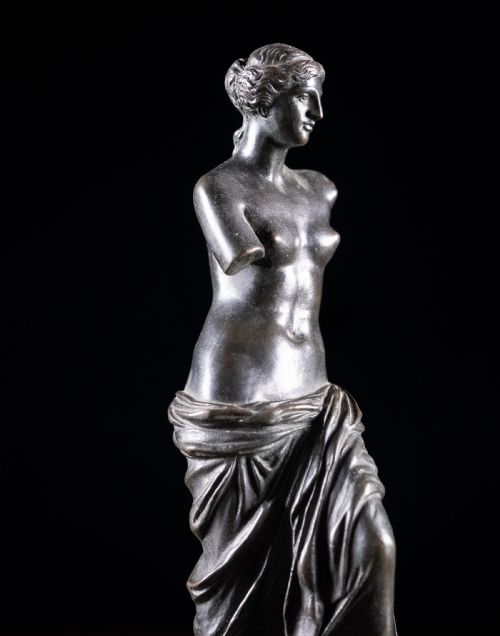 FRENCH BRONZE VENUS DE MILO C1900 - ADDITIONAL PHOTO 4