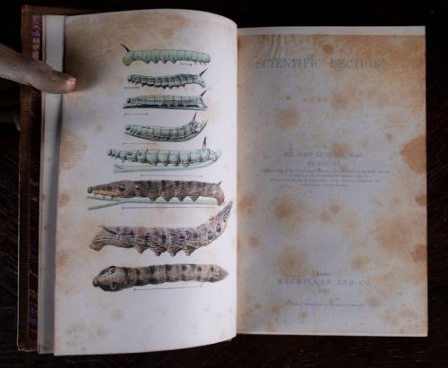 1879 SCIENTIFIC LECTURES BY SIR JOHN LUBBOCK - ADDITIONAL PHOTO 4