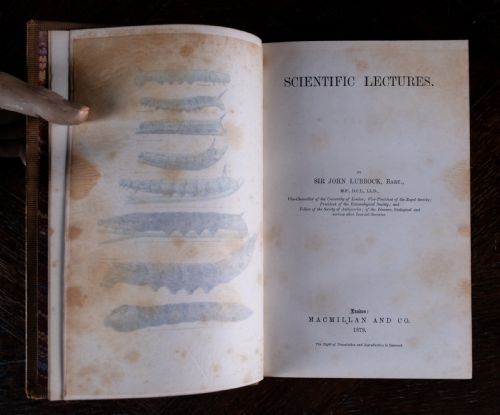 1879 SCIENTIFIC LECTURES BY SIR JOHN LUBBOCK - ADDITIONAL PHOTO 5