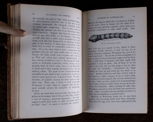 1879 SCIENTIFIC LECTURES BY SIR JOHN LUBBOCK - ADDITIONAL PHOTO 9