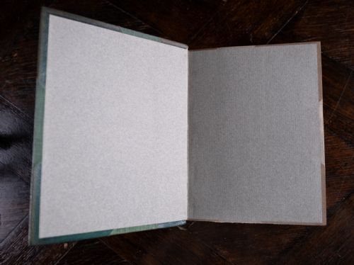 1912 WILD FLOWERS AS THEY GROW BY H ESSENHIGH CORKE 5 VOLUME BOOK SET - ADDITIONAL PHOTO 6