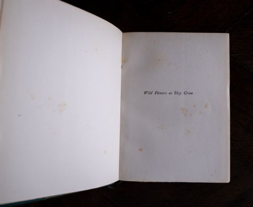 1912 WILD FLOWERS AS THEY GROW BY H ESSENHIGH CORKE 5 VOLUME BOOK SET - ADDITIONAL PHOTO 9
