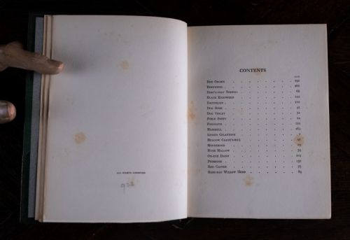 1912 WILD FLOWERS AS THEY GROW BY H ESSENHIGH CORKE 5 VOLUME BOOK SET - ADDITIONAL PHOTO 11