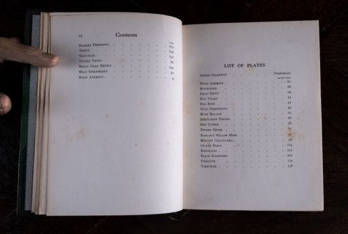 1912 WILD FLOWERS AS THEY GROW BY H ESSENHIGH CORKE 5 VOLUME BOOK SET - ADDITIONAL PHOTO 12