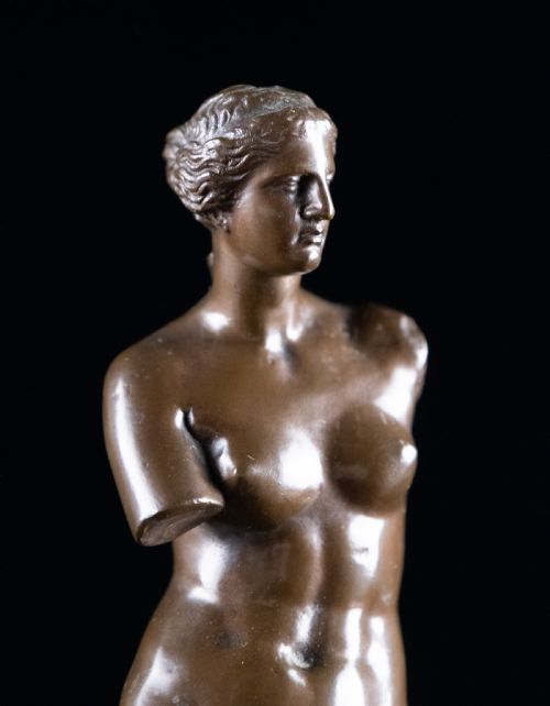 FRENCH BRONZE VENUS DE MILO BY F BARBEDIENNE C1880 - ADDITIONAL PHOTO 1
