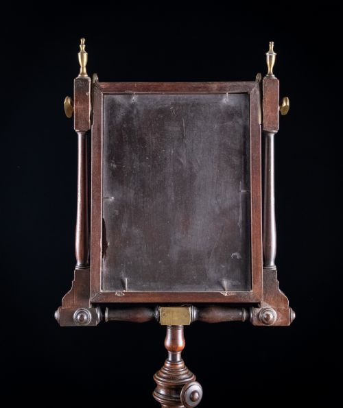 LARGE GEORGIAN MAHOGANY ZOGRASCOPE - ADDITIONAL PHOTO 8