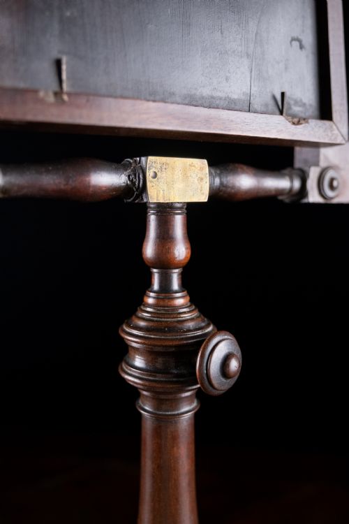 LARGE GEORGIAN MAHOGANY ZOGRASCOPE - ADDITIONAL PHOTO 9