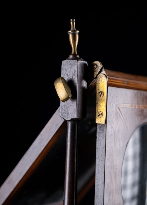 LARGE GEORGIAN MAHOGANY ZOGRASCOPE - ADDITIONAL PHOTO 12