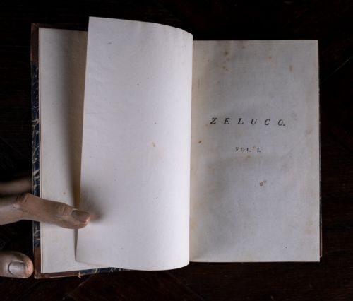 1789 ZELUCO VARIOUS VIEWS OF HUMAN NATURE BY JOHN MOORE FIRST EDITION BOOK SET - ADDITIONAL PHOTO 6