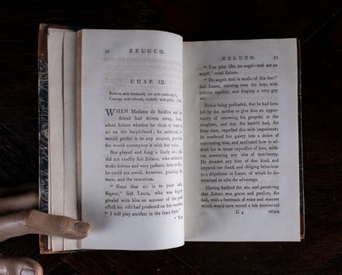 1789 ZELUCO VARIOUS VIEWS OF HUMAN NATURE BY JOHN MOORE FIRST EDITION BOOK SET - ADDITIONAL PHOTO 11