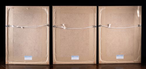 SET OF THREE BOTANICAL SPECIMENS 19TH CENTURY - ADDITIONAL PHOTO 16