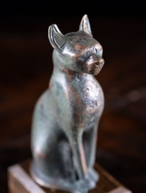 BRONZE AFTER GAYERANDERSON CAT 664332 BC - ADDITIONAL PHOTO 1