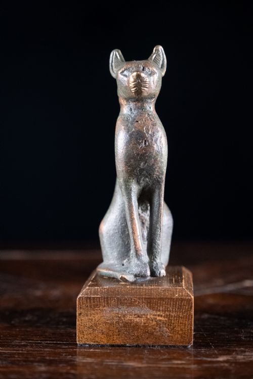 BRONZE AFTER GAYERANDERSON CAT 664332 BC - ADDITIONAL PHOTO 2