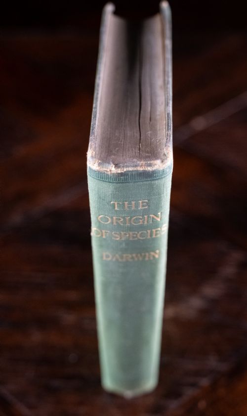 1900 THE ORIGIN OF SPECIES BY CHARLES DARWIN CLOTH BOUND BOOK - ADDITIONAL PHOTO 4