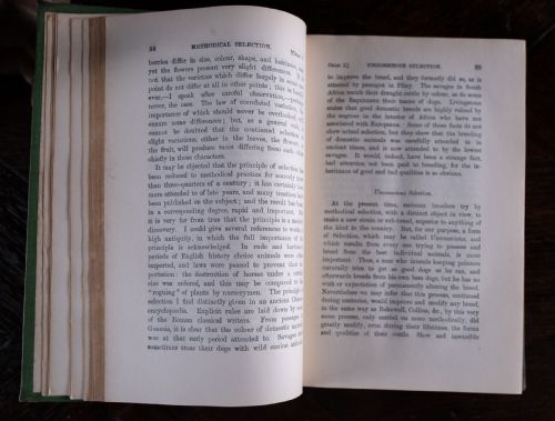 1900 THE ORIGIN OF SPECIES BY CHARLES DARWIN CLOTH BOUND BOOK - ADDITIONAL PHOTO 12