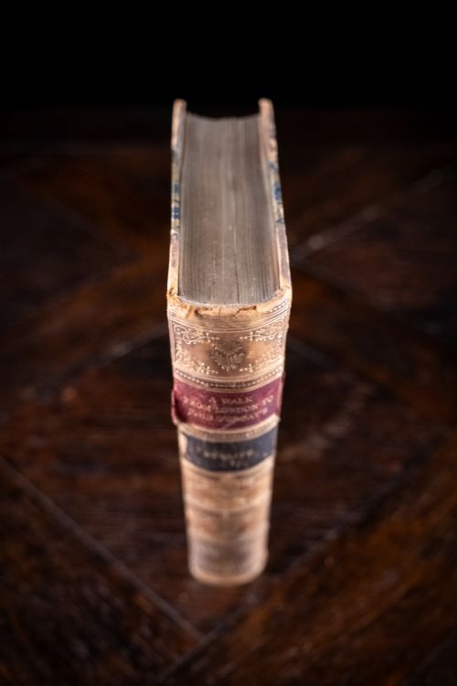 1864 A WALK FROM LONDON TO JOHN O'GROATS BY ELIHU BURRITT LEATHER BOUND BOOK - ADDITIONAL PHOTO 5
