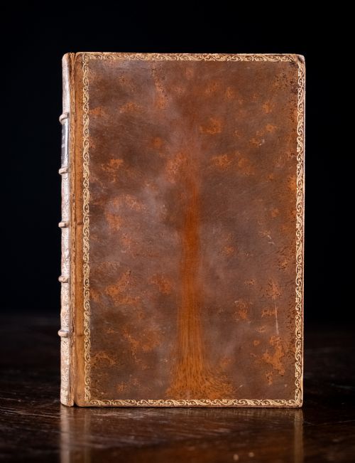 1879 RAMBLES IN SEARCH OF WILD FLOWERS BY MARGARET PLUES LEATHER BOUND BOOK - ADDITIONAL PHOTO 2
