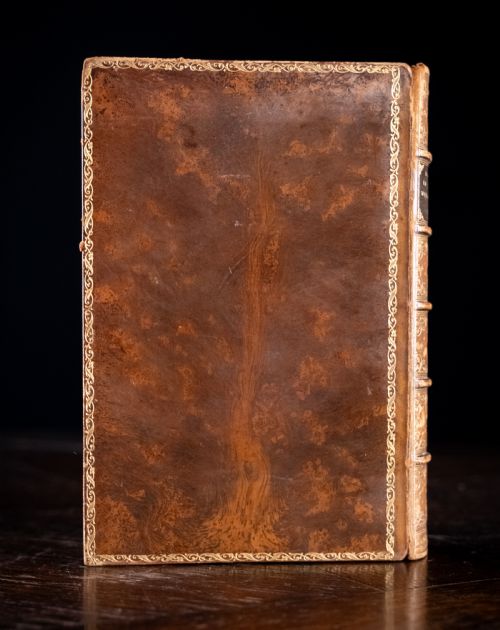 1879 RAMBLES IN SEARCH OF WILD FLOWERS BY MARGARET PLUES LEATHER BOUND BOOK - ADDITIONAL PHOTO 3