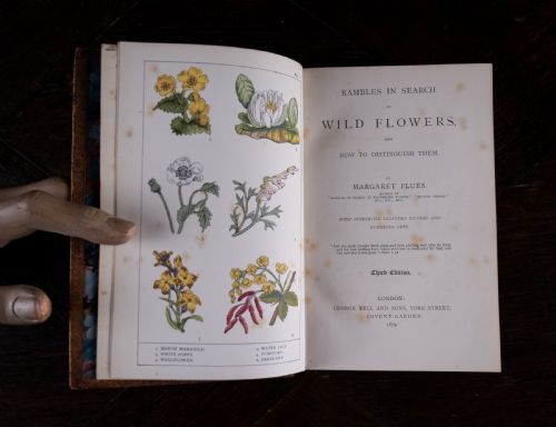 1879 RAMBLES IN SEARCH OF WILD FLOWERS BY MARGARET PLUES LEATHER BOUND BOOK - ADDITIONAL PHOTO 9