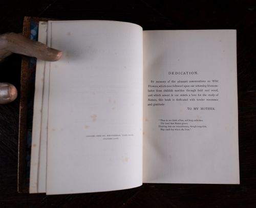1879 RAMBLES IN SEARCH OF WILD FLOWERS BY MARGARET PLUES LEATHER BOUND BOOK - ADDITIONAL PHOTO 10
