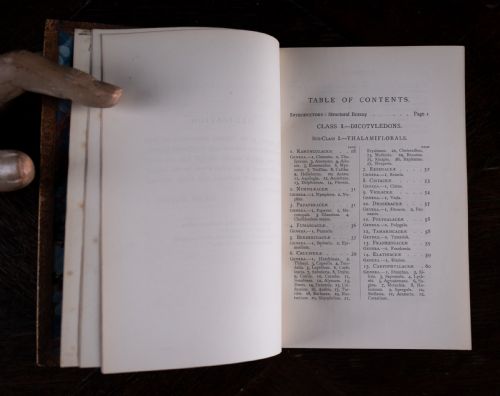1879 RAMBLES IN SEARCH OF WILD FLOWERS BY MARGARET PLUES LEATHER BOUND BOOK - ADDITIONAL PHOTO 11
