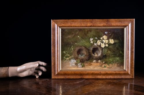 STILL LIFE OF BIRD NESTS AND PRIMROSES OIL ON BOARD - ADDITIONAL PHOTO 8