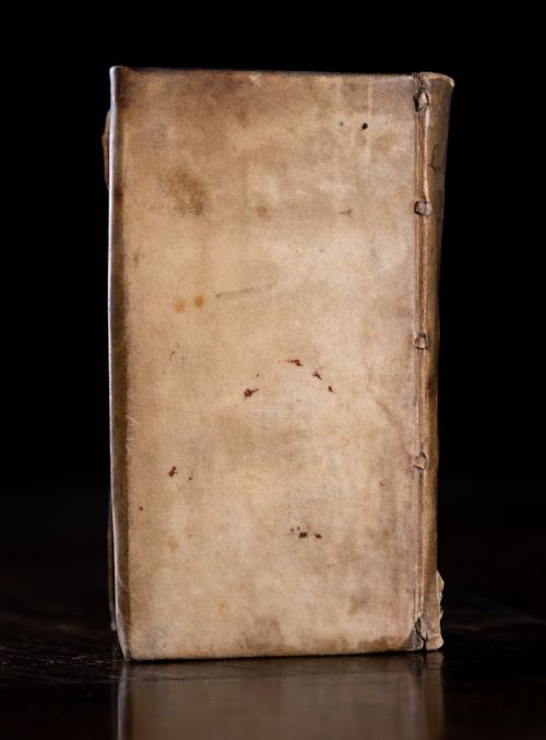 1649 LUCIUS SENECA C4BC 65AD PHILOSOPHI EPISTOLAE BOOK - ADDITIONAL PHOTO 2