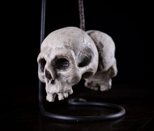 fig 1. A pair of small carved off-white skull sculptures suspended from a twisted metal chain attached to a black wrought iron stand.