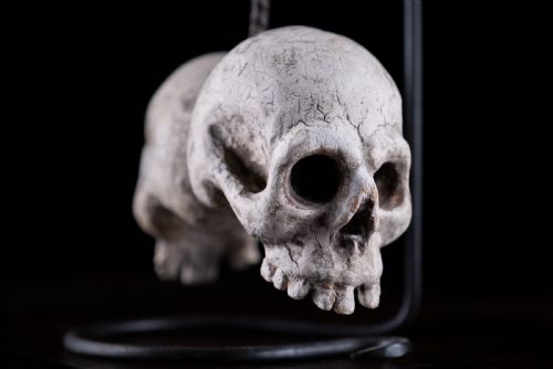 fig 4. A pair of small carved off-white skull sculptures suspended from a twisted metal chain attached to a black wrought iron stand.