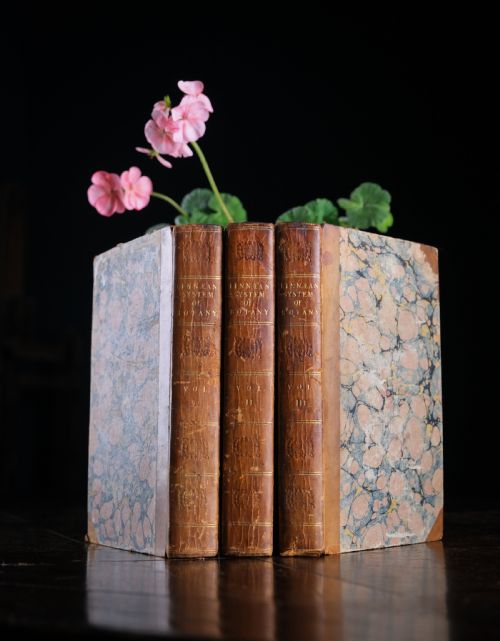 1816 the linnaean system of botany first edition book set - CATEGORY: ANTIQUE MISCELLANEOUS - DATED 19TH CENTURY
