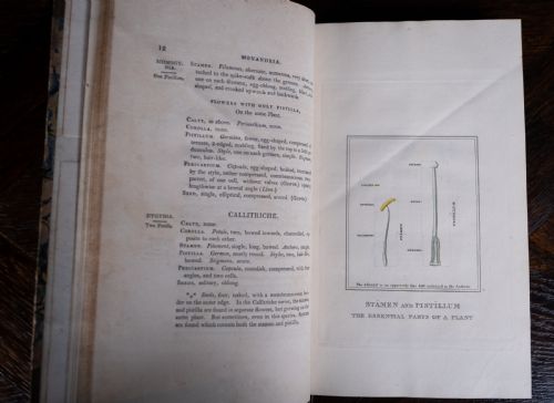 1816 THE LINNAEAN SYSTEM OF BOTANY FIRST EDITION BOOK SET - ADDITIONAL PHOTO 13