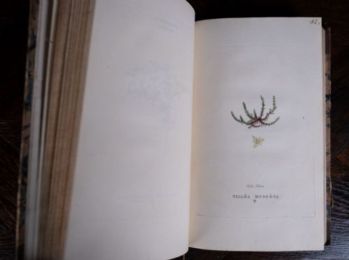 1816 THE LINNAEAN SYSTEM OF BOTANY FIRST EDITION BOOK SET - ADDITIONAL PHOTO 17