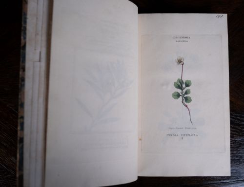 1816 THE LINNAEAN SYSTEM OF BOTANY FIRST EDITION BOOK SET - ADDITIONAL PHOTO 18