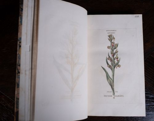 1816 THE LINNAEAN SYSTEM OF BOTANY FIRST EDITION BOOK SET - ADDITIONAL PHOTO 21