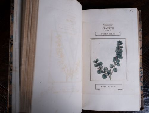 1816 THE LINNAEAN SYSTEM OF BOTANY FIRST EDITION BOOK SET - ADDITIONAL PHOTO 23