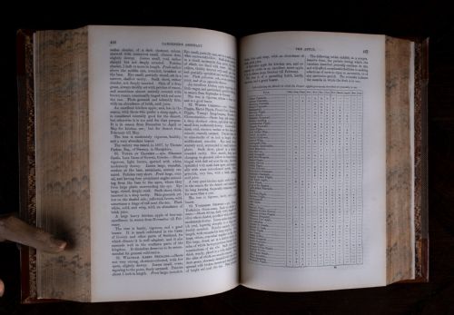 C1859 THE GARDENER'S ASSISTANT BY ROBERT THOMPSON LEATHER BOUND BOOK - ADDITIONAL PHOTO 13