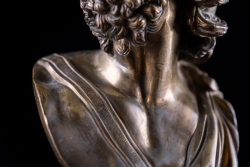 GILT BRONZE BUST OF AJAX C1880 - ADDITIONAL PHOTO 11