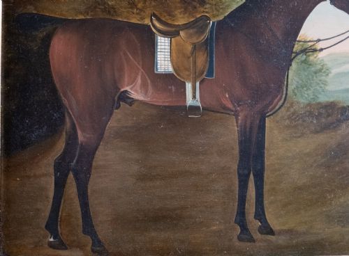 EARLY 19TH CENTURY PORTRAIT OF A BAY HUNTER HORSE OIL ON BOARD - ADDITIONAL PHOTO 2