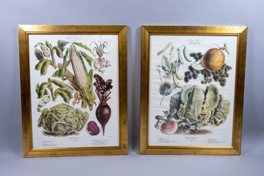 Pair of Vilmorin Andrieux Paris Framed Prints - No. 31 (1880) & No. 34 (1884)