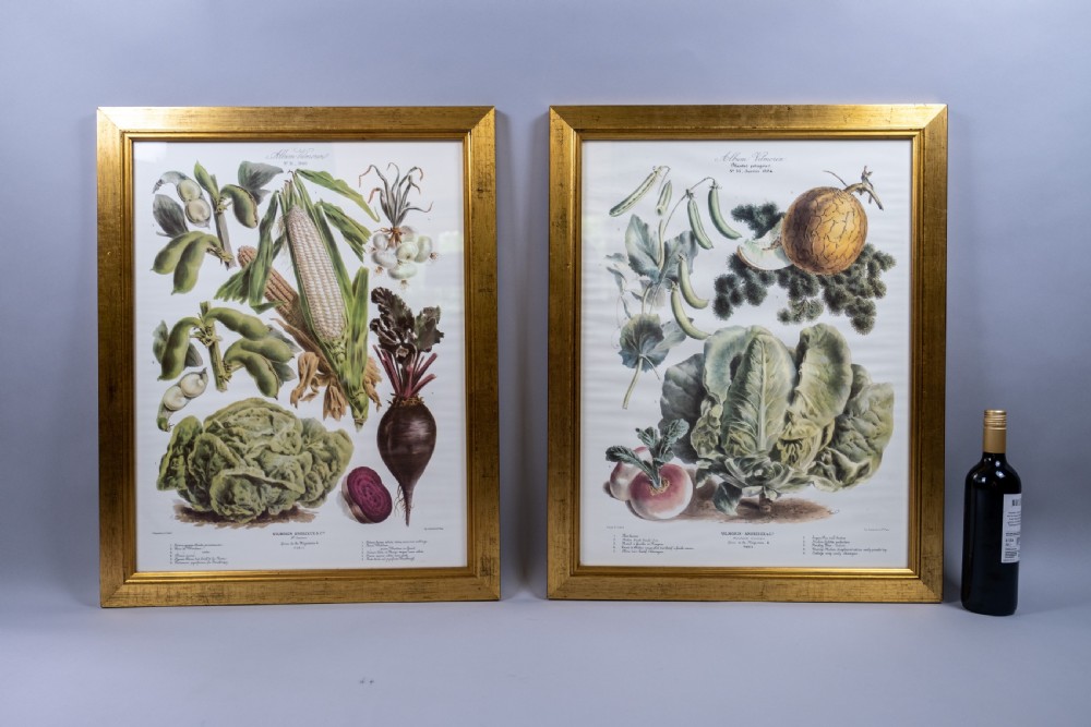 Pair of Vilmorin Andrieux Paris Framed Prints - No. 31 (1880) & No. 34 (1884) View II