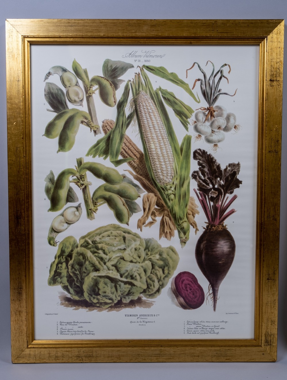 Pair of Vilmorin Andrieux Paris Framed Prints - No. 31 (1880) & No. 34 (1884) View III