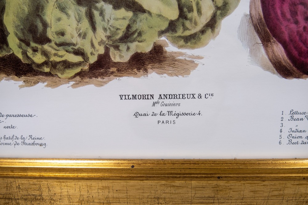 Pair of Vilmorin Andrieux Paris Framed Prints - No. 31 (1880) & No. 34 (1884) View V