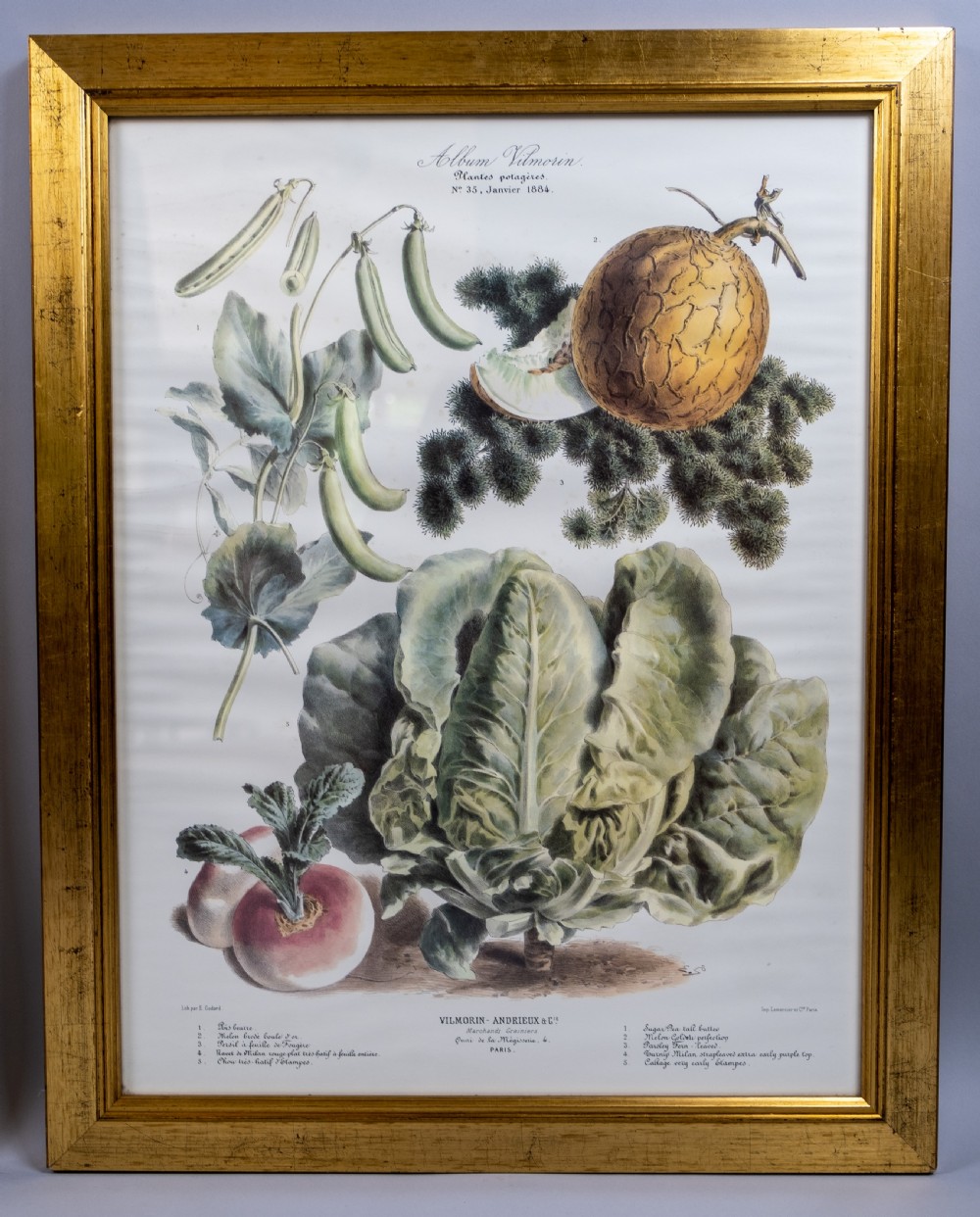 Pair of Vilmorin Andrieux Paris Framed Prints - No. 31 (1880) & No. 34 (1884) View VI