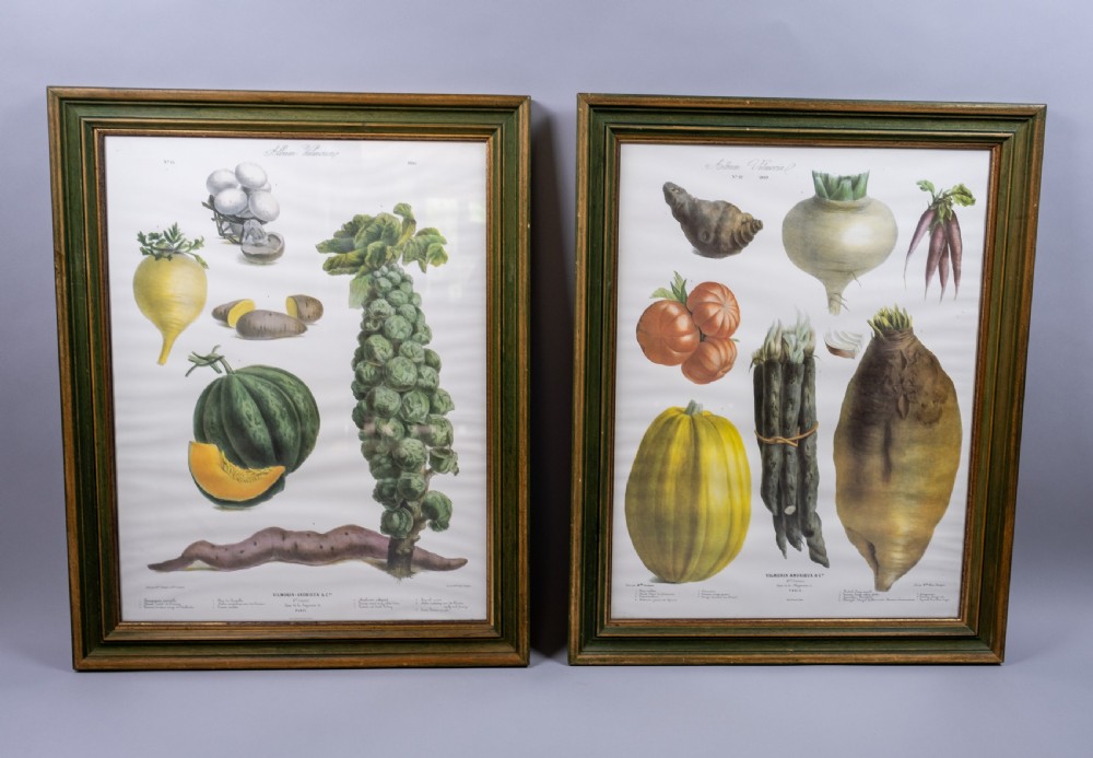 Pair of Vilmorin Andrieux, Paris Framed Prints - No. 12 (1869) & No. 15 (1864)