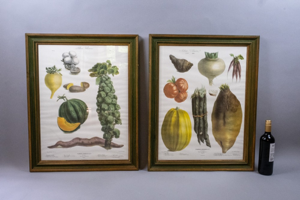 Pair of Vilmorin Andrieux, Paris Framed Prints - No. 12 (1869) & No. 15 (1864) View II